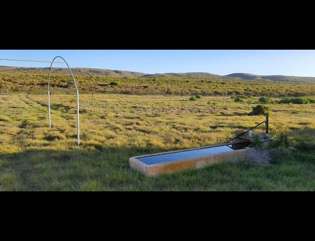 FARM FOR SALE IN STILBAAI RURAL